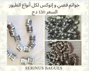 Bagues Argent écriture noir