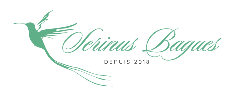 Logo d'une boutique de vente de bagues, produits et accessoires pour oiseaux